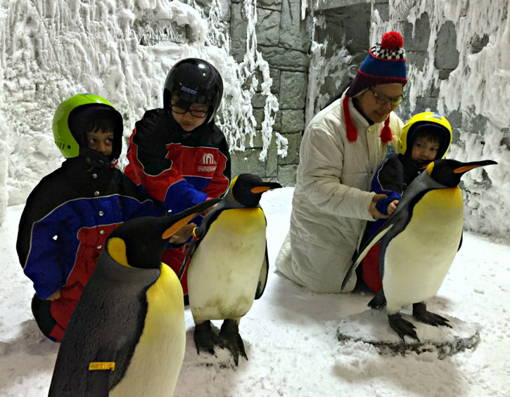 summer-activities-guide-penguin-encounters-ski-dubai