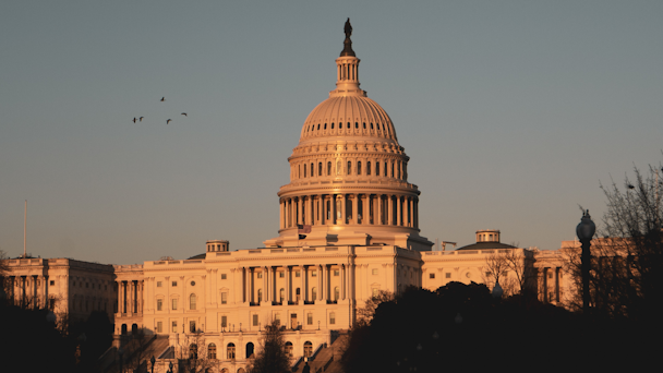 United States Capitol building in Washington, D.C. in sunlight